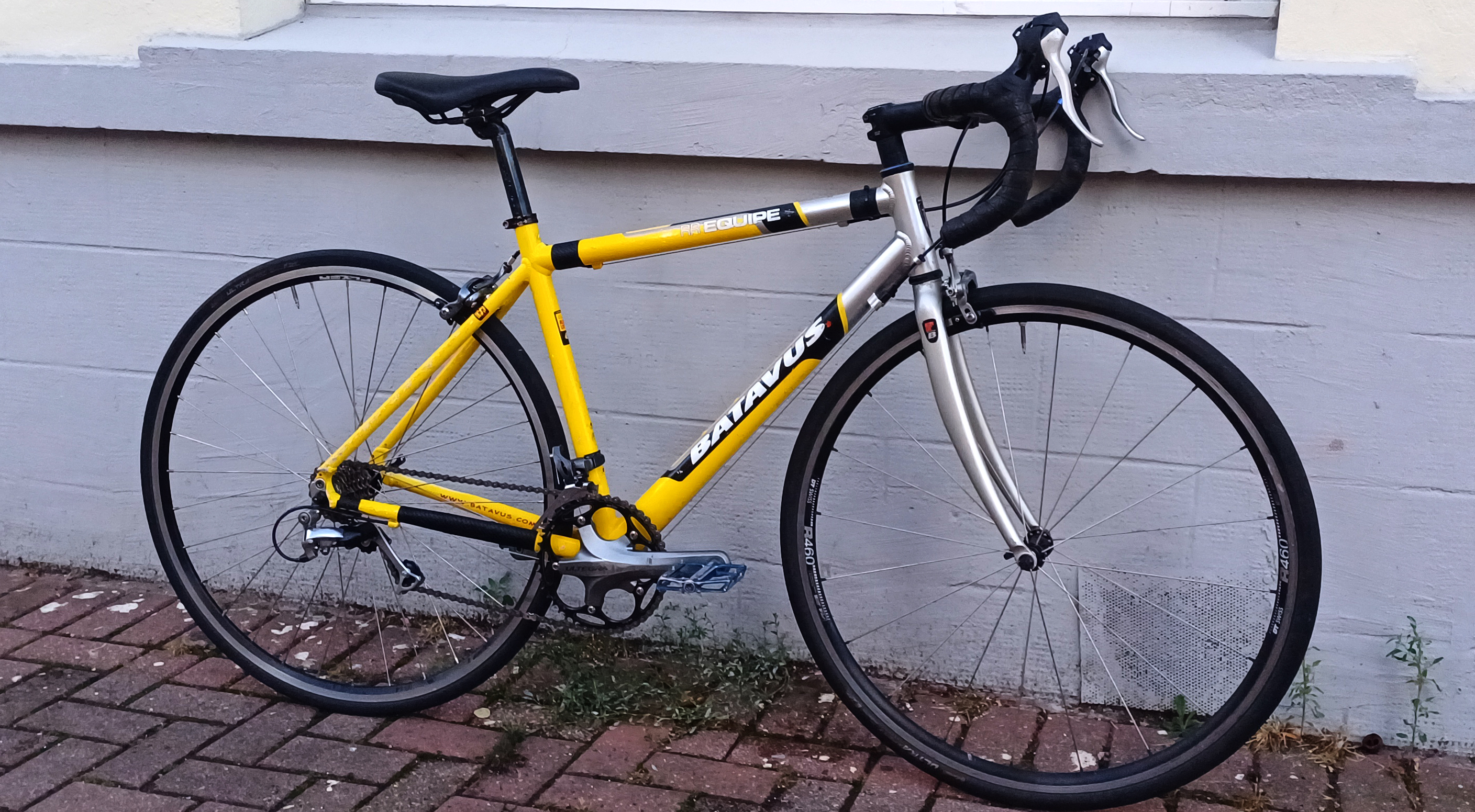 batavus